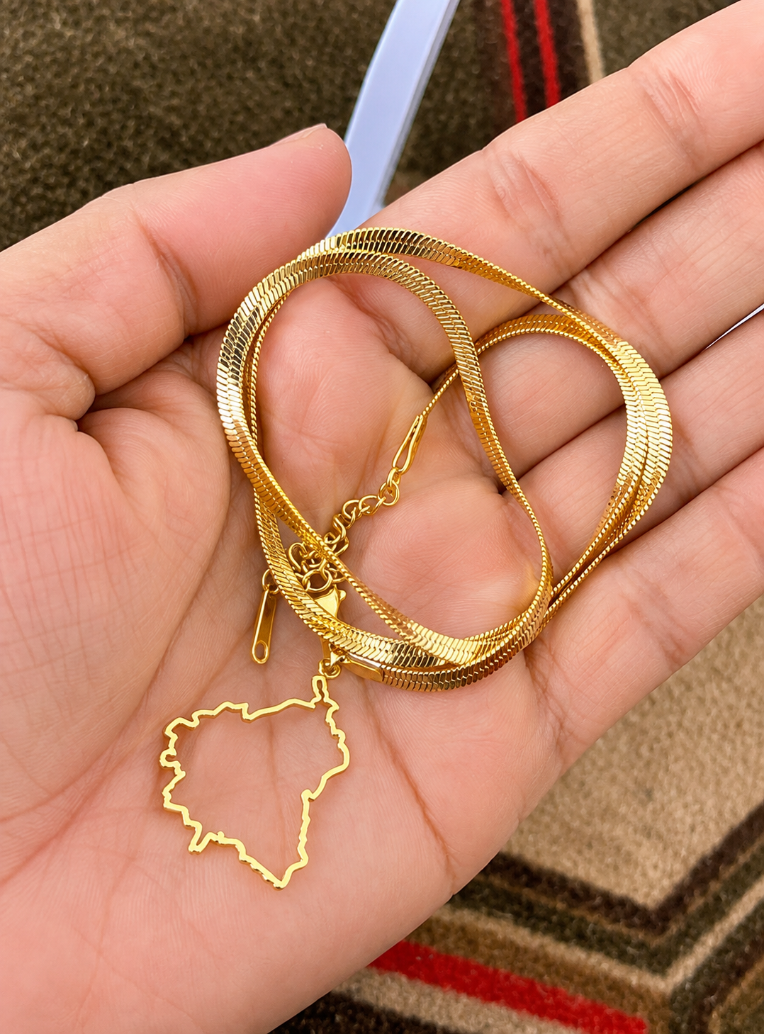 Punjab map necklace