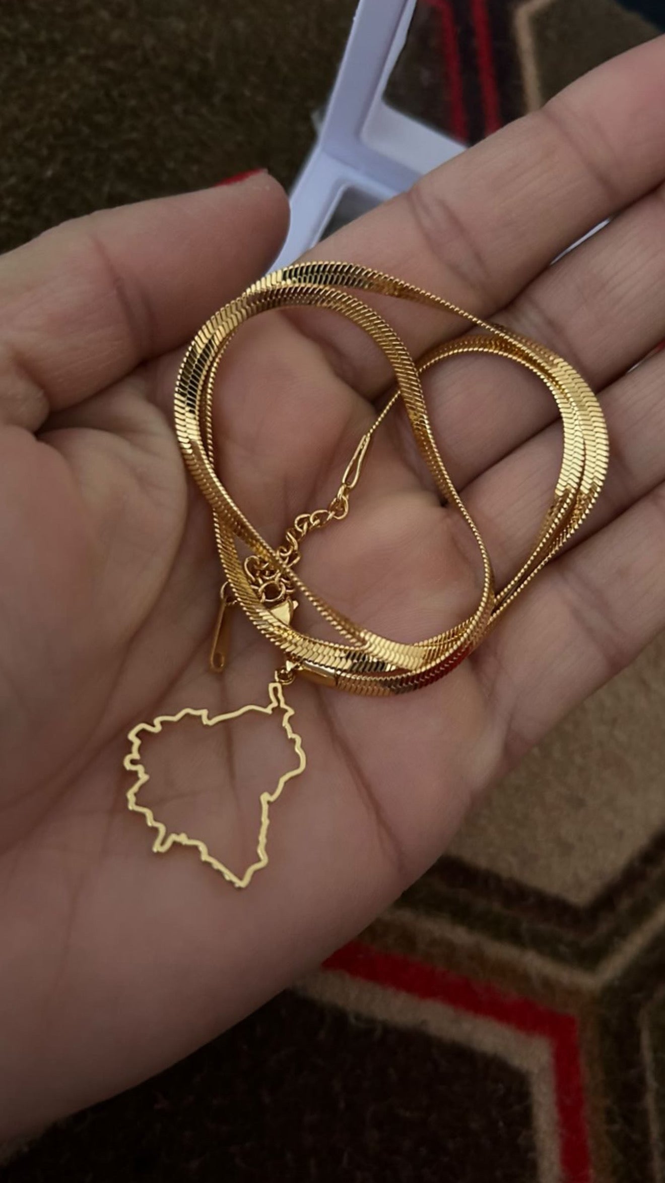 Punjab map necklace