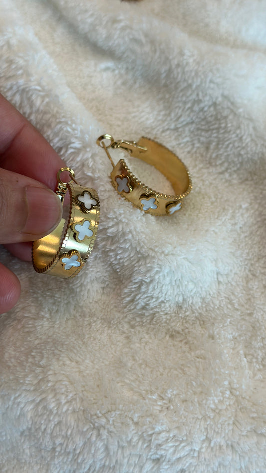 Stainless steel earrings